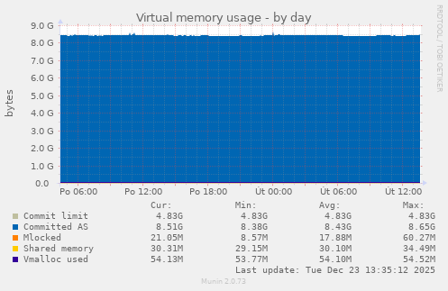 Virtual memory usage