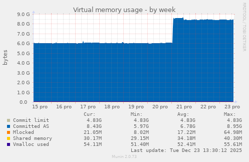 Virtual memory usage