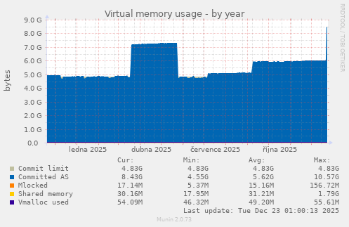 Virtual memory usage